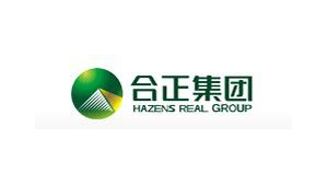 悅享合作伙伴：合正集團